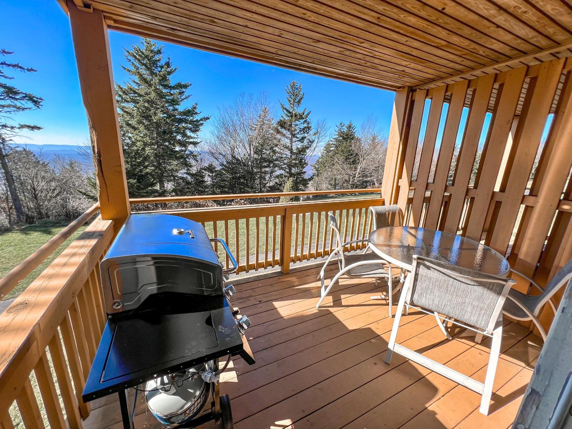 Remodeled Summit Condo At Snowshoe - Modern & Cozy Zewnętrze zdjęcie